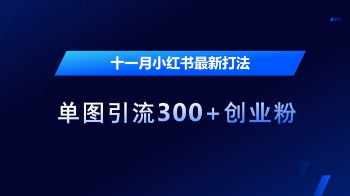 十一月小红书最新打法，单图引流300+创业粉【揭秘】_山林科技社-山林科技社