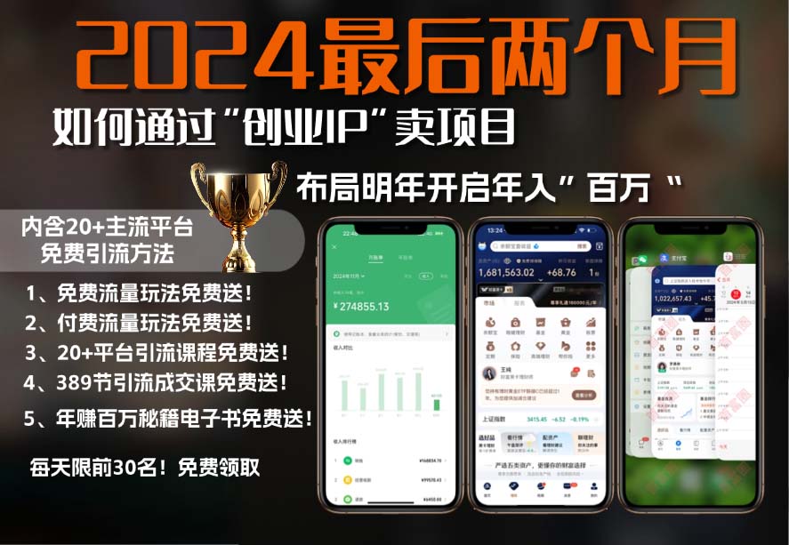 图片[1]-（13322期）2024最后两个月如何通过”创业IP“卖项目年入”百万“,创业IP 最强引流…_生财有道创业项目网-生财有道