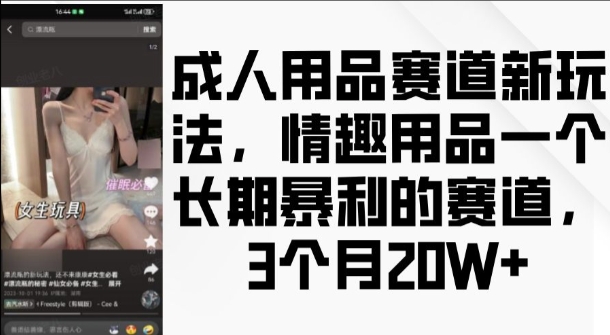 成人用品赛道新玩法，情趣用品一个长期暴利的赛道，3个月收益20个【揭秘】_山林科技社-山林科技社