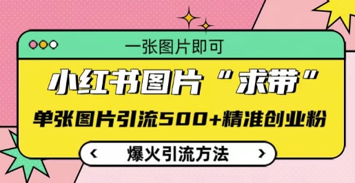 揭秘小红书图片‘求带’爆火引流法，单张图片引流500+精准创业粉-山林科技社