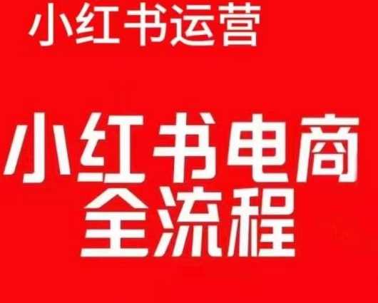 小红书电商全流程实操课：红薯电商运营实战指南-山林科技社