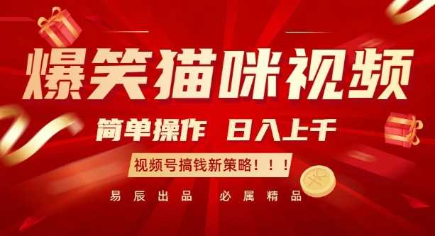 揭秘爆笑猫咪视频号新策略：简单操作实现日入过K的搞钱秘籍-山林科技社