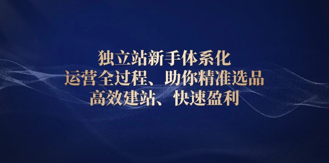 独立站新手体系化运营全过程：精准选品、高效建站、快速盈利指南-山林科技社