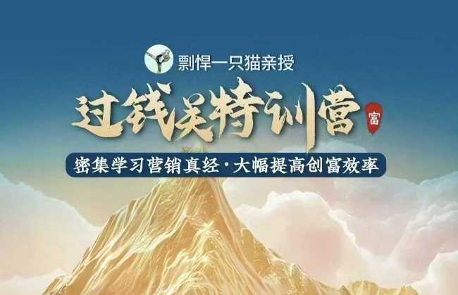 剽悍一只猫-过钱关特训营：掌握营销真经，大幅提升创富效率-山林科技社