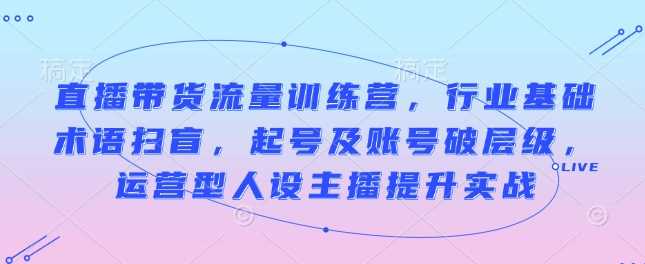直播带货流量训练营：行业术语扫盲、起号破层级、运营型人设主播实战提升-山林科技社