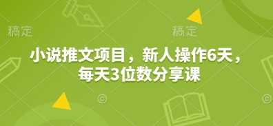 小说推文项目：新人6天操作指南，每日3位数分享课揭秘-山林科技社