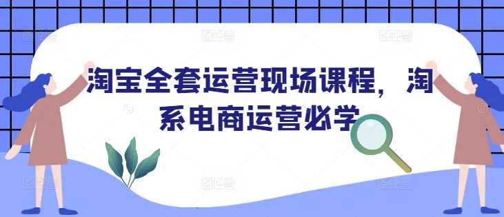 淘宝全套运营现场课程：淘系电商运营必学指南与实战技巧-山林科技社