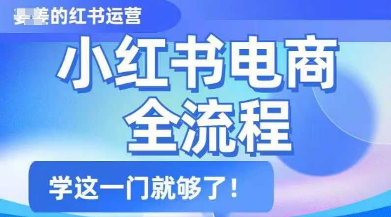 小红书电商运营全流程，内容精简易懂，从新手到老鸟，学完就足够了！-山林科技社