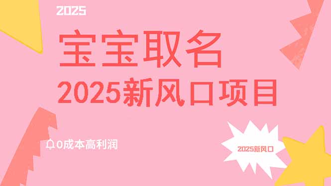 2025最新风口宝宝取名项目，实现零成本高利润，附保姆级教程，祝你月入过万！-山林科技社