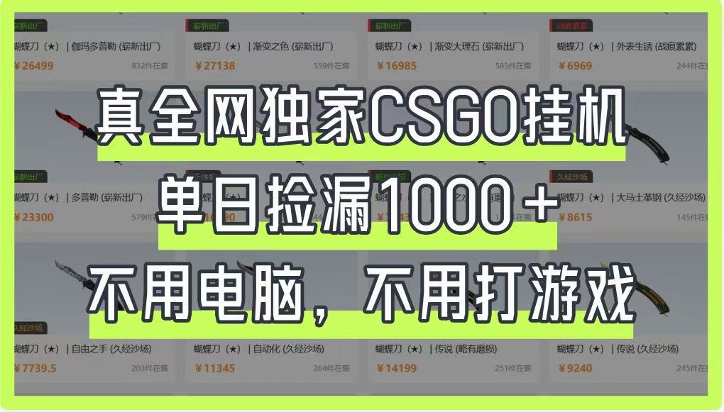 全网独家技术CSGO挂机项目，每天捡漏1000+，不用电脑不用养号!_山林科技社-山林科技社