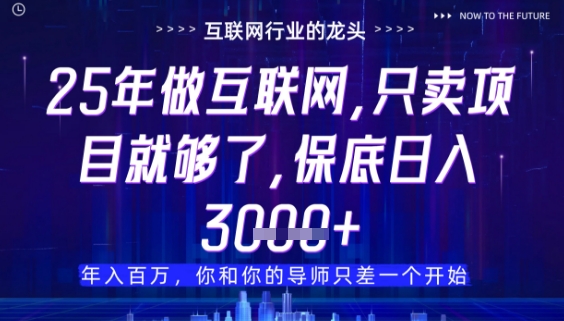 什么！25年你还在找项目做？风口早就变了，卖项目才是稳挣不赔【揭秘】！——山林科技社-山林科技社