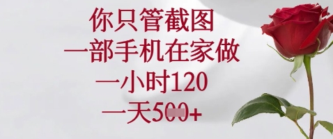 你只管截图，一部手机在家做，苹果安卓都可以，一小时120，一天5张+【揭秘】！——山林科技社-山林科技社