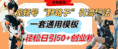 视频号“野路子”玩法，评论区疯狂截流，一套模板单日单号引流50+创业粉！——山林科技社-山林科技社