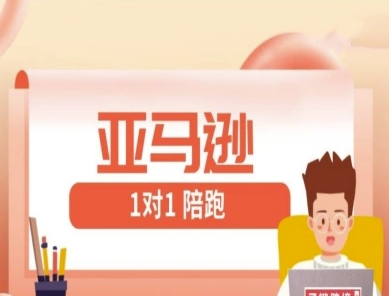 亚马逊1对1陪跑课(FBA/FBM精铺)跨境亚马逊教程！——山林科技社-山林科技社