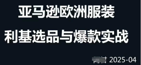 跨境电商选品案例24-25年，聚焦跨境电商选品策略与运营优化，助力卖家挖掘蓝海市场！——山林科技社-山林科技社