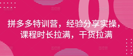 拼多多特训营，经验分享实操，课程时长拉满，干货拉满(更新25年4月)！——山林科技社-山林科技社