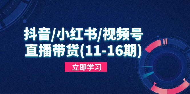 （14611期）抖音/小红书/视频号/直播带货(11-16期)，快速掌握平台规则，打造爆款内容！_山林科技社-山林科技社