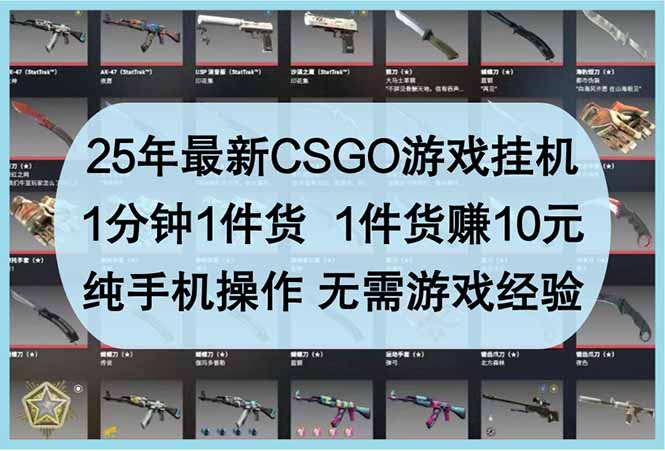 （14439期）25年最新CSGO游戏挂机，1分钟1件货，1件货赚10元 纯手机操作 无需游戏经验！_山林科技社-山林科技社