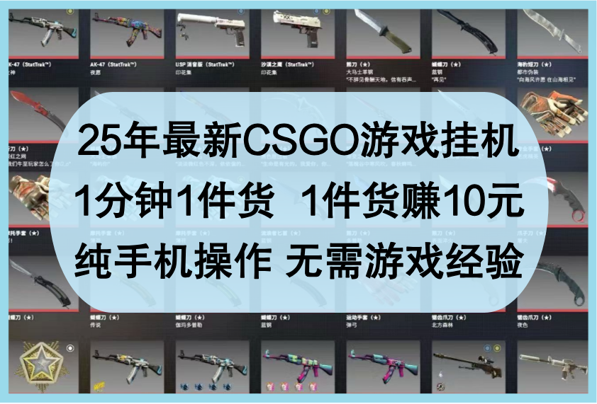 25年最新CSGO游戏挂机，1分钟1件货，1件货赚10元，纯手机操作，无需游戏经验！_山林科技社-山林科技社