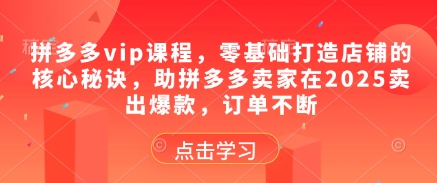 拼多多vip课程，零基础打造店铺的核心秘诀，助拼多多卖家在2025卖出爆款，订单不断！——山林科技社-山林科技社
