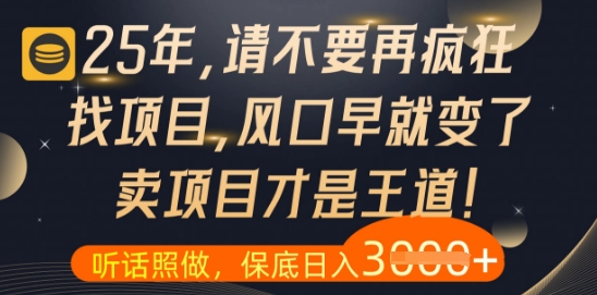 什么？25年你还在疯狂找项目做，醒醒吧，看完这些你全都懂了【揭秘】！——山林科技社-山林科技社