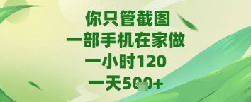 你只管截图，一部手机在家做，苹果安卓都可以，一天5张+【揭秘】！——山林科技社-山林科技社