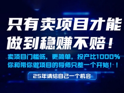 只有卖项目才能做到稳挣不赔，门槛低，更简单，你也可以年入百个W【揭秘】！——山林科技社-山林科技社