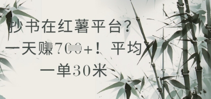 抄书在小红薯平台？平均一单30米，一天收益几张！——山林科技社-山林科技社