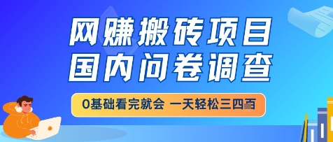 网创搬砖项目，国内问卷调查，小白轻松上手，一天三四张的也不难，干就完了【揭秘】！——山林科技社-山林科技社