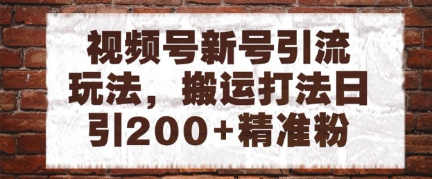 视频号新号引流玩法，搬运打法日引200+精准粉，可矩阵放大【揭秘】！——山林科技社-山林科技社