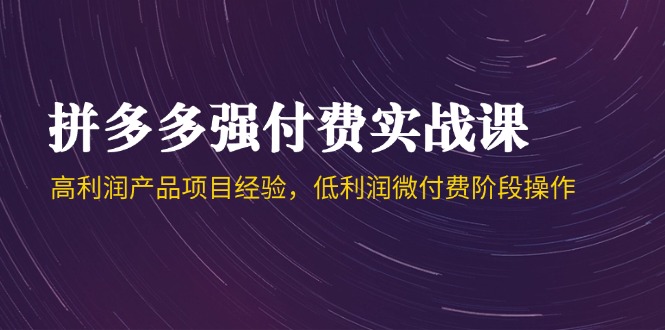 （14874期）拼多多强付费实战课-44期，高利润产品项目经验，低利润微付费阶段操作！_山林科技社-山林科技社