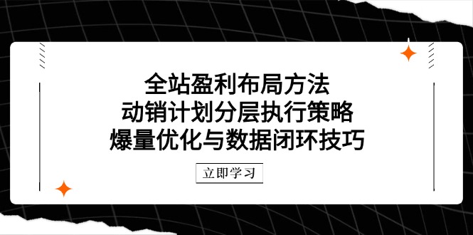 （14698期）全站盈利布局方法：动销计划分层执行策略，爆量优化与数据闭环技巧！_山林科技社-山林科技社