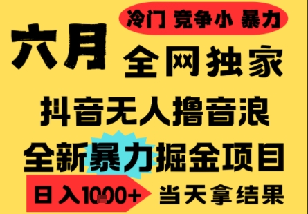 25年6月高爆抖音无人直播最新撸音浪掘金项目，小白可做，无脑日入1k+，门槛低可批量矩阵【揭秘】！——山林科技社-山林科技社