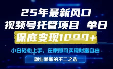 25年最新风口，视频号托管项目，单日保底变现1k+，手把手教学【揭秘】！——山林科技社-山林科技社