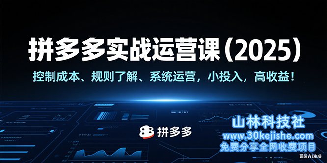 拼多多实战运营课（2025），控制成本、规则了解、系统运营，小投入，高收益！_山林科技社-山林科技社