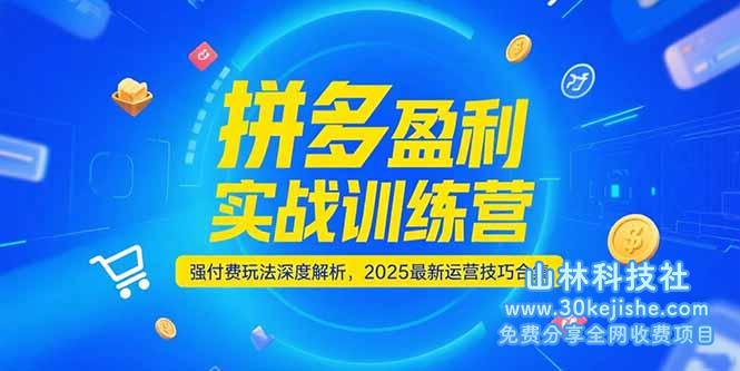 图片[1]-（15183期）拼多多盈利实战磨炼营，强付费玩法深度剖析，2025运营能耐合集-更新6月_生财有道守业名目网-生财有道