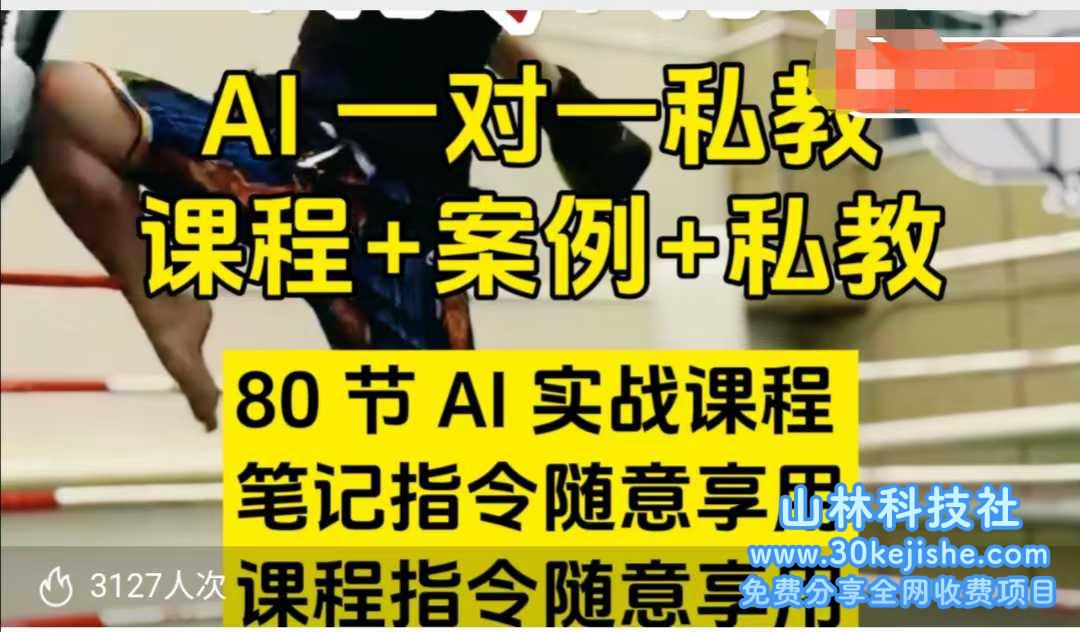 AI指令实战课，课程+案例，80节AI实战课程，笔记指令随意享用，课程指令随意享用（更新7月）——山林科技社-山林科技社