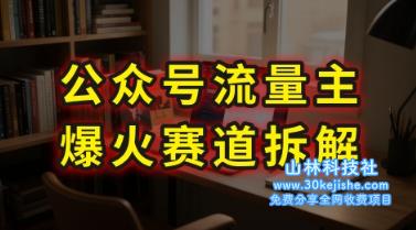 AI公众号流量主爆火赛道拆解—剧评领域，86分钟干货分享——山林科技社-山林科技社