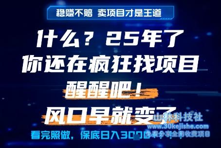 什么？25年你还在疯狂找项目做，醒醒吧，看完这些你全都懂了！【揭秘】——山林科技社-山林科技社