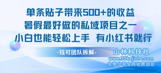 图片[1]-单条贴子带来5张的收益，暑假最佳做的私域名目之一，小白也能轻松上手，有小红书就行——生财有道守业名目网-生财有道