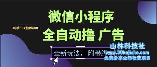 微信小程序全自动撸广告项目，彻底解决没流量的问题，新手一天8张+【揭秘】——山林科技社-山林科技社