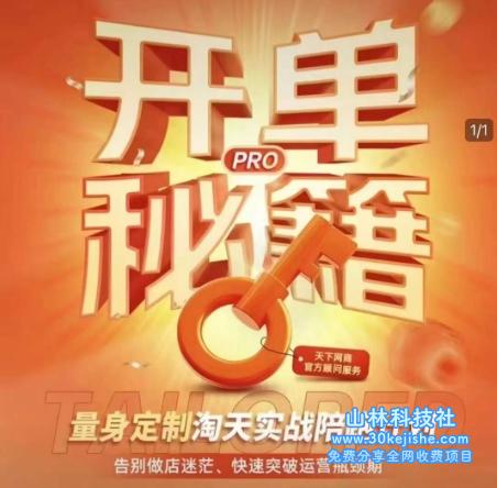 淘宝开单秘籍PRO，量身定制淘天实战陪跑计划，告别做店迷茫、快速突破运营瓶颈期（更新6月）——山林科技社-山林科技社