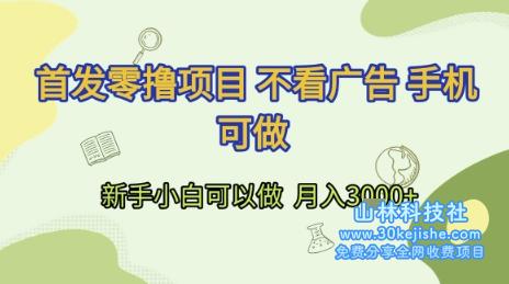 首发零撸项目 不看广告 手机可做 新手小白可以做  月入3k+【揭秘】——山林科技社-山林科技社