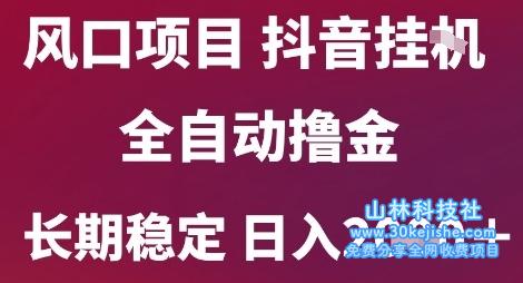 风口项目，六月最新玩法抖音无人挂G，全自动撸金，长期稳定 日入2k+【揭秘】——山林科技社-山林科技社