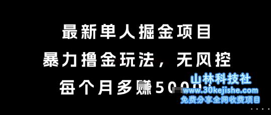 最新单人掘金项目，暴力撸金玩法，无风控，每个月多挣5k+【揭秘】——山林科技社-山林科技社