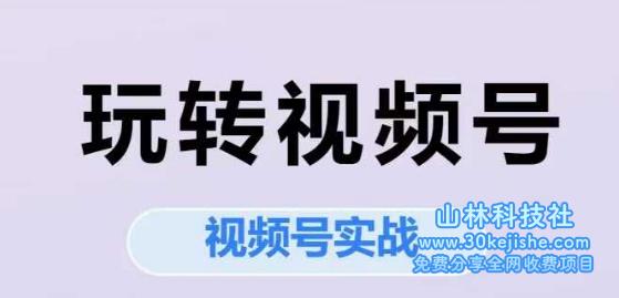 图片[1]-玩转视频号，视频号实战系列课——生财有道守业名目网-生财有道
