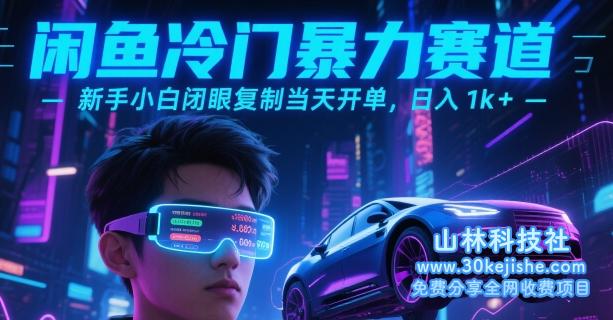 闲鱼冷门暴力赛道，新手小白闭眼复制当天开单，日入1k+【揭秘】——山林科技社-山林科技社