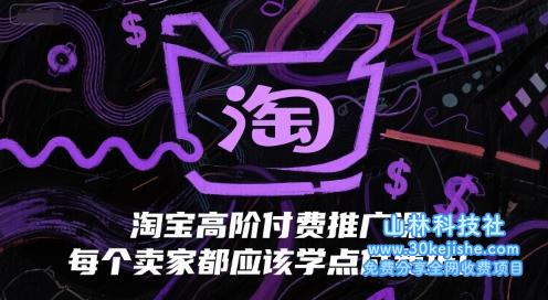 淘宝高阶付费推广课，每个卖家都应该学点付费推广——山林科技社-山林科技社
