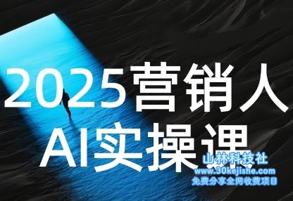 2025营销人Al实操课，AI营销抢跑实战，从Prompt到方案，效率碾压同行——山林科技社-山林科技社