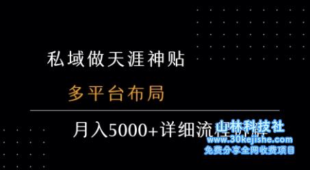 私域做天涯神贴 多平台布局 月入5k+详细流程拆解——山林科技社-山林科技社